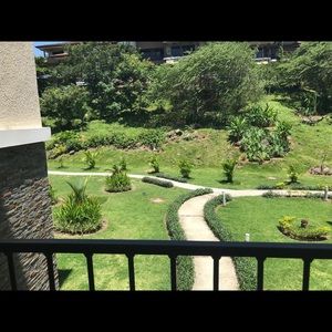 Meet your Posher, Lynn